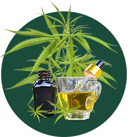 Cannabis therapeutique