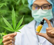 Le cannabis therapeutique